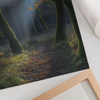Poster Magisk skogshöstljus lugn atmosfär