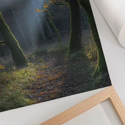 Poster med motiv av magisk skog i höstljus och lugn atmosfär