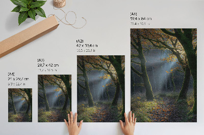 Poster Magisk skogshöstljus lugn atmosfär