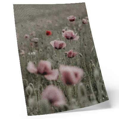 Affisch Pastell vallmo romantisk atmosfär subtila blommor