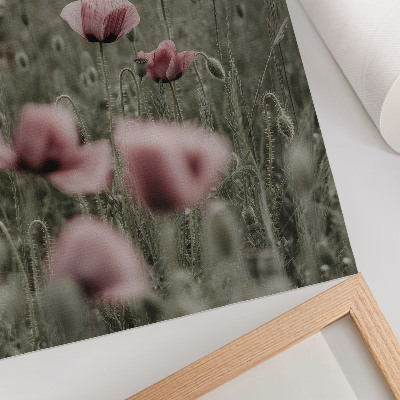 Affisch Pastell vallmo romantisk atmosfär subtila blommor
