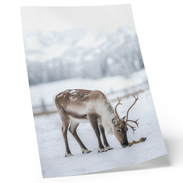 Dekorativ väggaffisch Renar i snön, natur, lugn, elegans