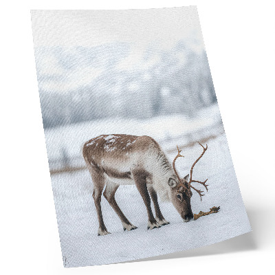 Dekorativ väggaffisch Renar i snön, natur, lugn, elegans