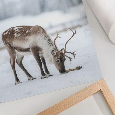 Dekorativ väggaffisch med motiv av renar i snö för en lugn och elegant känsla