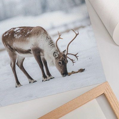 Dekorativ väggaffisch Renar i snön, natur, lugn, elegans
