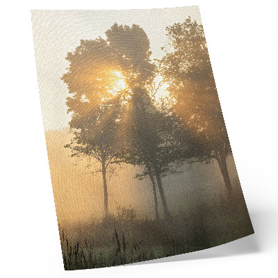 Dekorativ väggaffisch Dimmig gryning varmt ljus träd inspiration