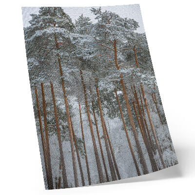 Affisch Vinterskog snö träd fred harmoni natur