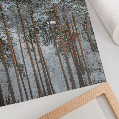 Affisch Vinterskog snö träd fred harmoni natur