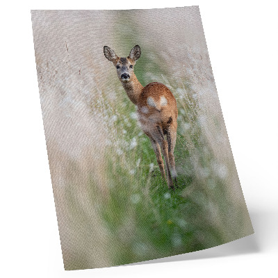 Poster Rådjur i bakgrunden av naturens harmoni och naturens frid