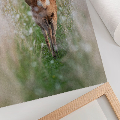 Poster Rådjur i bakgrunden av naturens harmoni och naturens frid