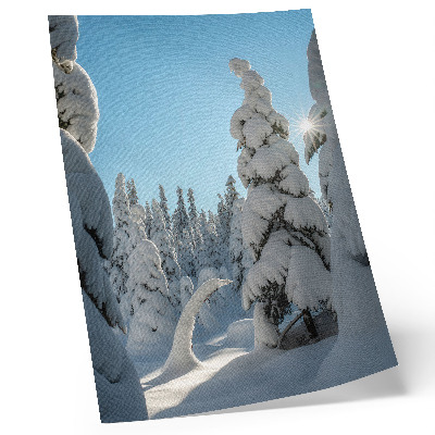 Affisch Snötäckta träd, blå himmel, solsken
