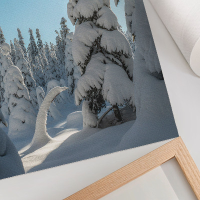 Affisch Snötäckta träd, blå himmel, solsken