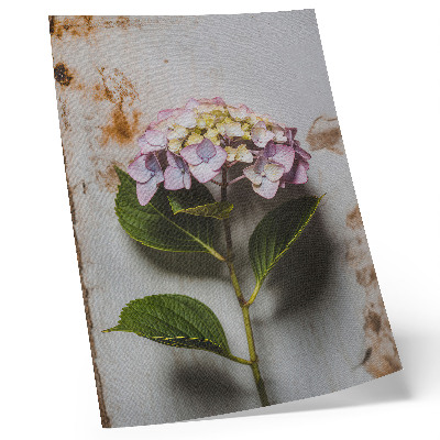 Dekorativ väggaffisch Rosa hortensia gröna blad rustik bakgrund