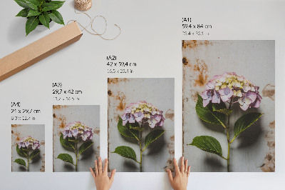 Dekorativ väggaffisch Rosa hortensia gröna blad rustik bakgrund