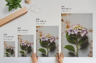 Väggaffisch rosa hortensia med gröna blad på rustik bakgrund