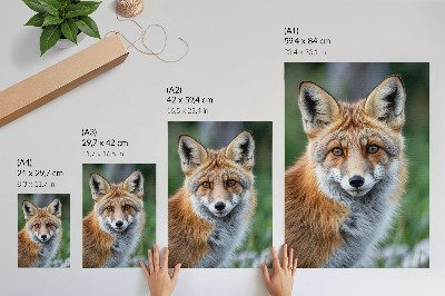 Poster Rävporträtt, varma nyanser, grön bakgrund