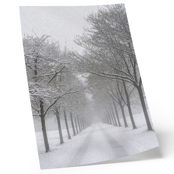 Poster Symmetrisk allé av vinterträd, snö, dimma