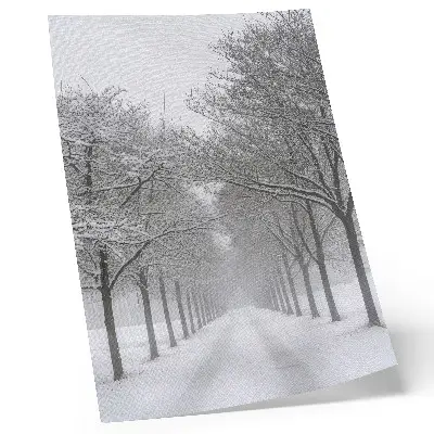Poster symmetrisk allé av vinterträd i snö och dimma