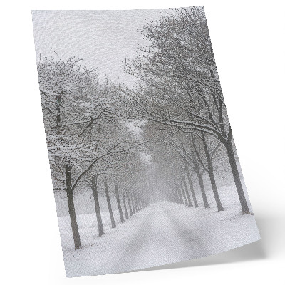 Poster Symmetrisk allé av vinterträd, snö, dimma