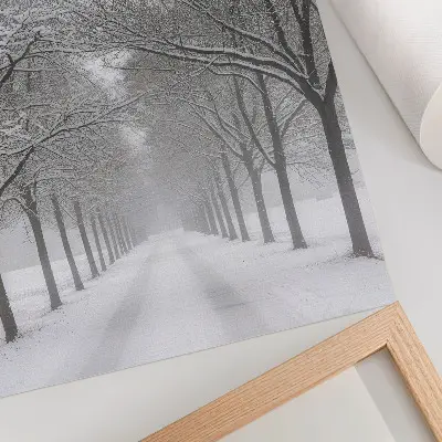 Poster symmetrisk allé av vinterträd i snö och dimma