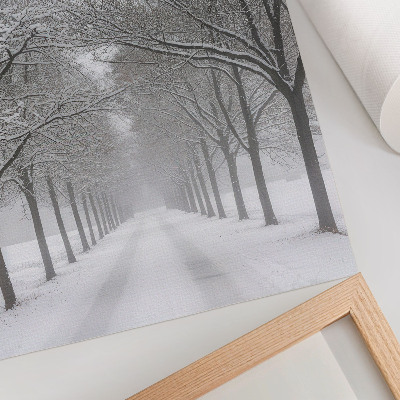 Poster Symmetrisk allé av vinterträd, snö, dimma