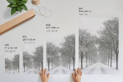 Poster Symmetrisk allé av vinterträd, snö, dimma