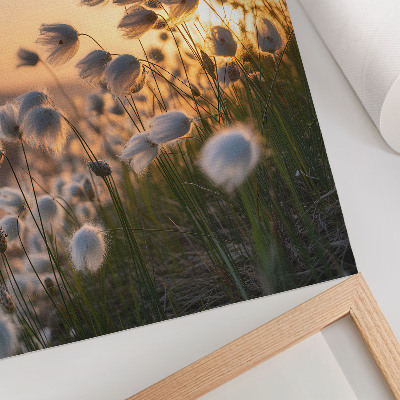Hållbar väggposter Gräs vid solnedgången, varma färger, naturlighet