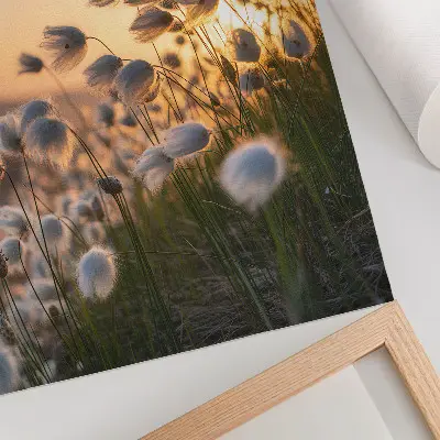 Hållbar väggposter med motiv av gräs vid solnedgången i varma färger