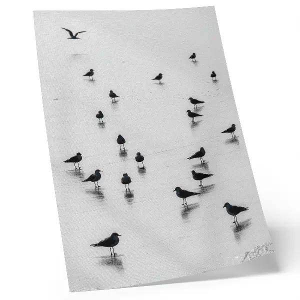 Poster fåglar över vatten med subtila reflektioner i minimalistisk stil