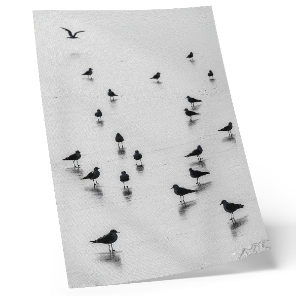 Poster Fåglar över vatten subtila reflektioner minimalism