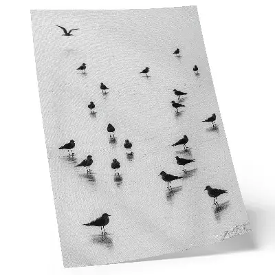 Poster fåglar över vatten med subtila reflektioner i minimalistisk stil
