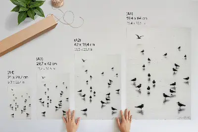 Poster fåglar över vatten med subtila reflektioner i minimalistisk stil