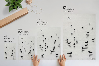 Poster Fåglar över vatten subtila reflektioner minimalism