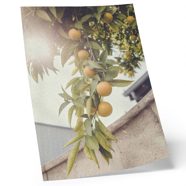Dekorativ väggaffisch trädgren sol gröna blad orange