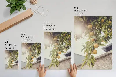 Dekorativ väggaffisch med motiv av trädgren med sol och gröna blad mot orange bakgrund