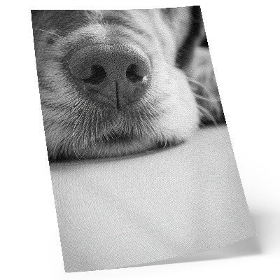 Hållbar väggposter Närbild av en hund svartvit textur minimalism