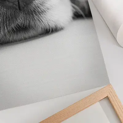 Hållbar väggposter närbild av en hund med svartvit minimalism