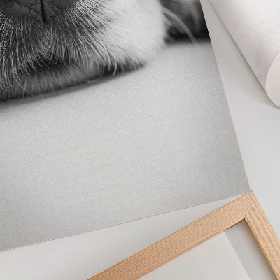 Hållbar väggposter Närbild av en hund svartvit textur minimalism