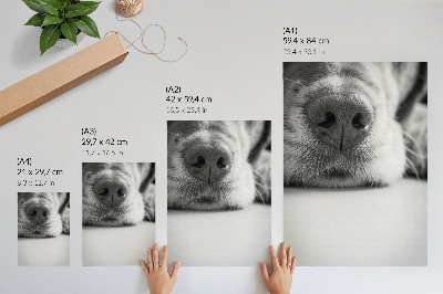 Hållbar väggposter Närbild av en hund svartvit textur minimalism