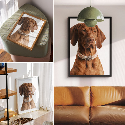 Dekorativ väggaffisch Elegant hundhalsband med lyxig finish