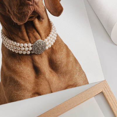 Dekorativ väggaffisch Elegant hundhalsband med lyxig finish