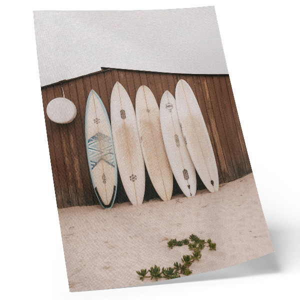 Poster Surfbrädor trävägg delikat grön