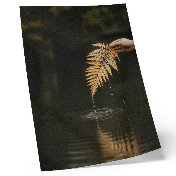 Affisch Ormbunke över vattnet, harmoniska droppar, reflektion