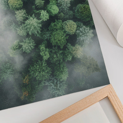 Poster Gröna träd höljda i en fin vit dimma