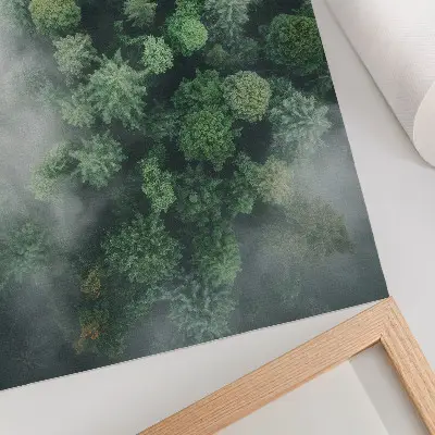 Poster gröna träd i dimma
