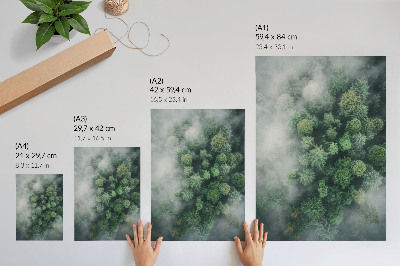 Poster Gröna träd höljda i en fin vit dimma