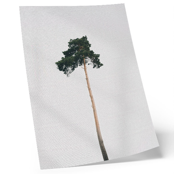 Hållbar väggposter Ett ensamt träd på en ljus bakgrund med minimalism