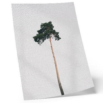Hållbar väggposter Ett ensamt träd på en ljus bakgrund med minimalism