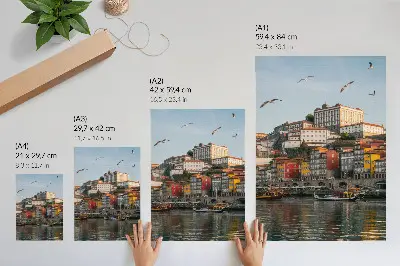 Poster färgglada hyreshus, eleganta skepp och måsar