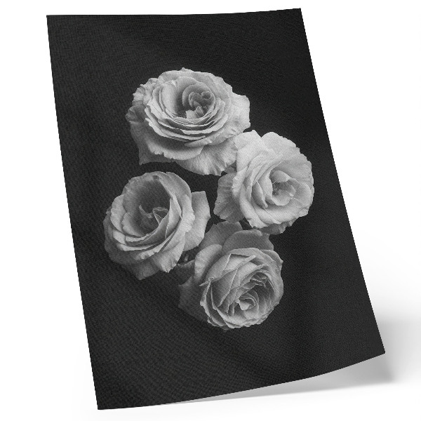 Hållbar väggposter Svarta och vita rosor minimalism klassisk elegans